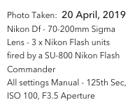 Photo Taken:  20 April, 2019
Nikon Df - 70-200mm Sigma Lens - 3 x Nikon Flash units fired by a SU-800 Nikon Flash Commander
All settings Manual - 125th Sec, ISO 100, F3.5 Aperture 